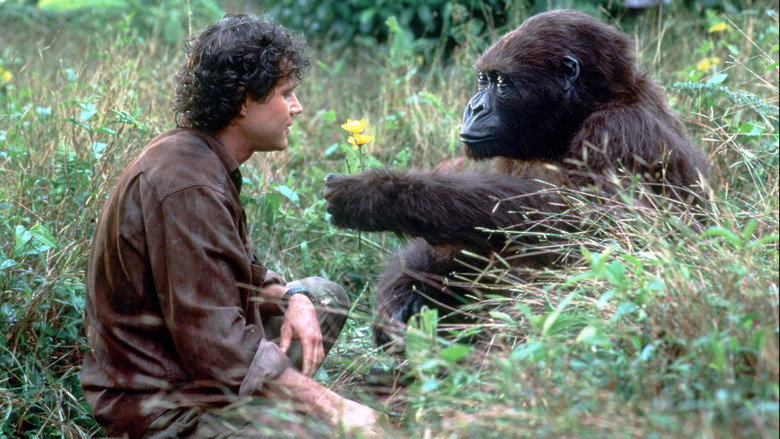 Fotograma de Congo