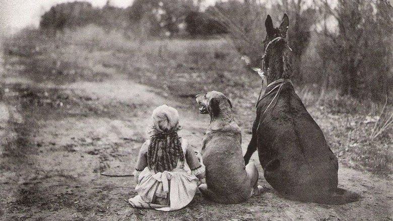 Fotograma de Through the Back Door