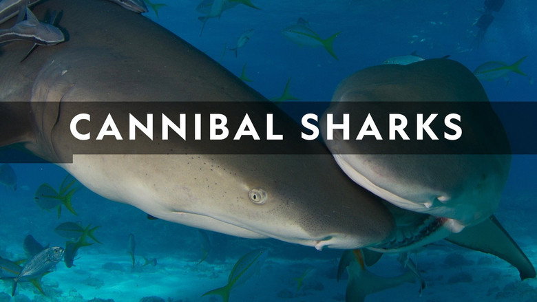 Fotograma de Cannibal Sharks