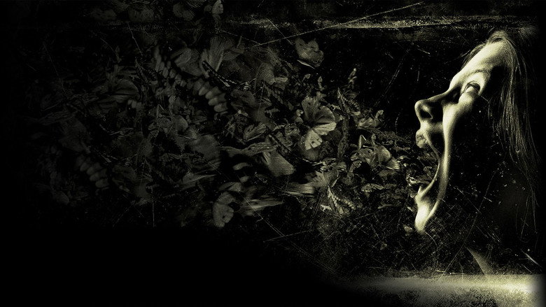 Fotograma de The Possession (El origen del mal)