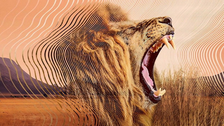 Fotograma de El mundo secreto del sonido con David Attenborough