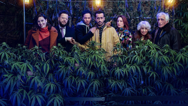Fotograma de Family Business