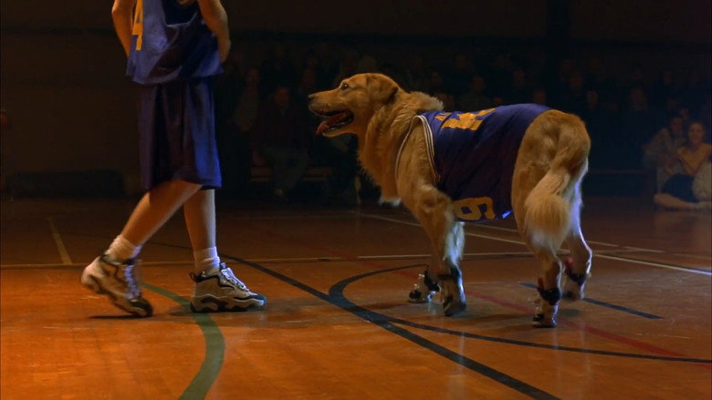Fotograma de Air Bud