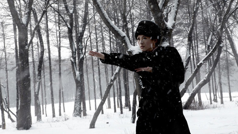 Fotograma de The Grandmaster