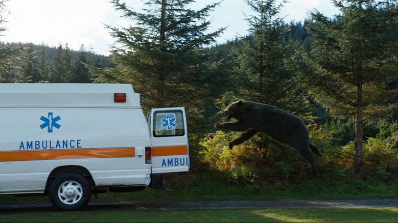 Fotograma de Oso vicioso
