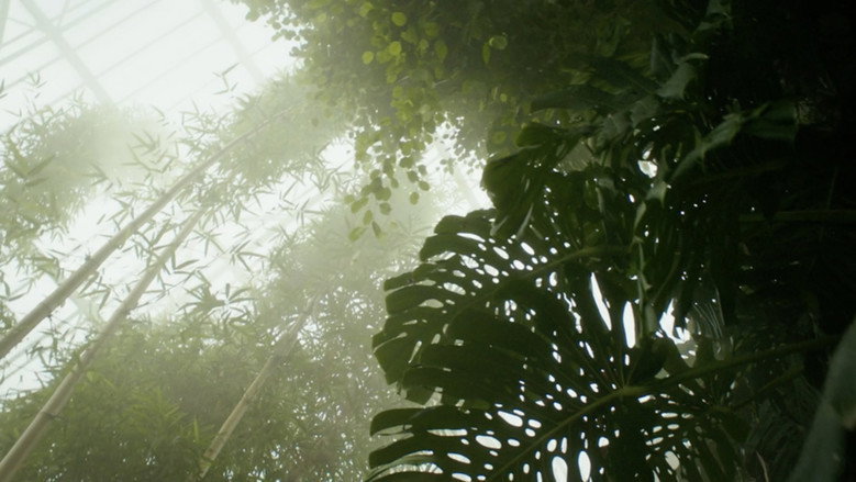 Fotograma de Paradise Lost?