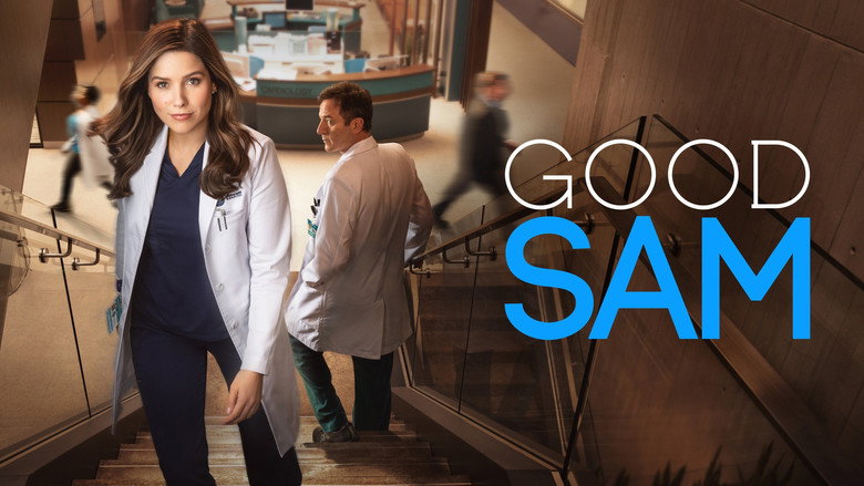 Fotograma de Good Sam