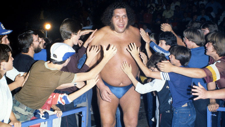Fotograma de Andre the Giant