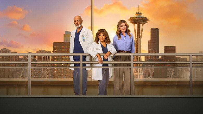 Fotograma de Anatomía de Grey