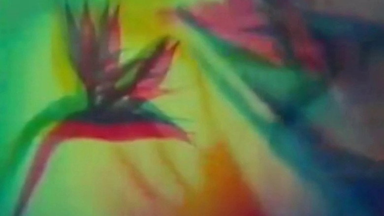Fotograma de The Psychedelic Experience
