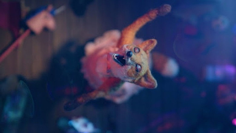 Fotograma de Dragfox