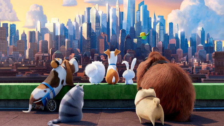 Fotograma de Mascotas