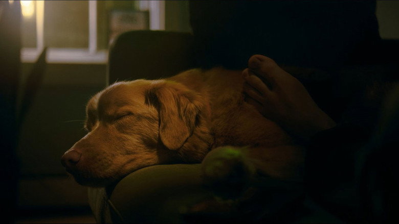 Fotograma de Good Boy
