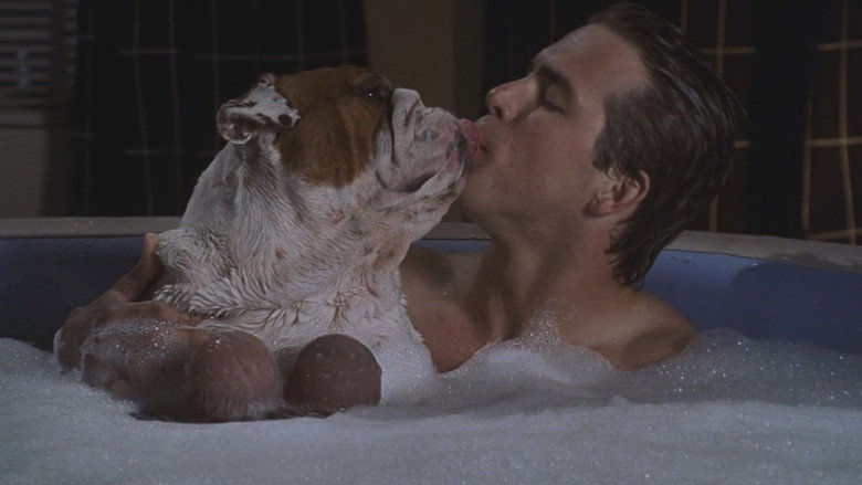 Fotograma de Van Wilder: Animal Party