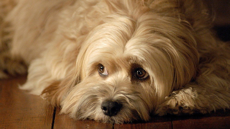 Fotograma de For the Love of Benji