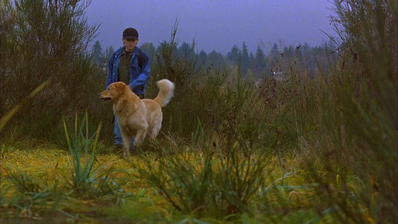 Fotograma de Air Bud