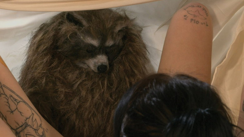 Fotograma de Crackcoon