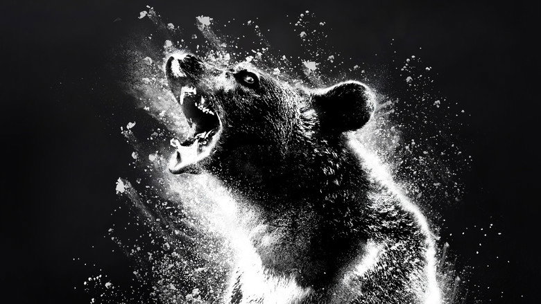 Fotograma de Oso vicioso