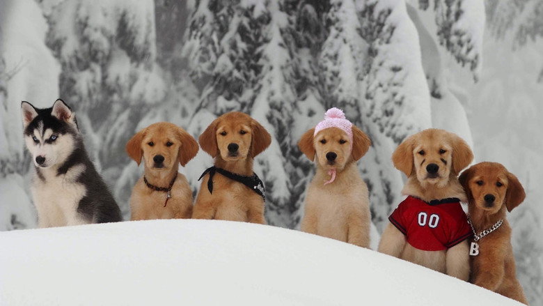 Fotograma de Snow Buddies
