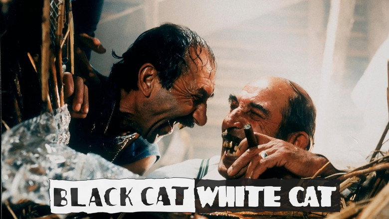 Fotograma de Gato negro, gato blanco