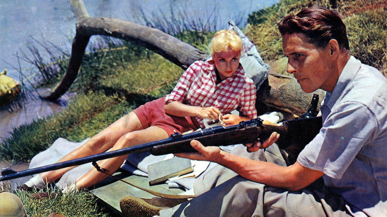 Fotograma de Safari