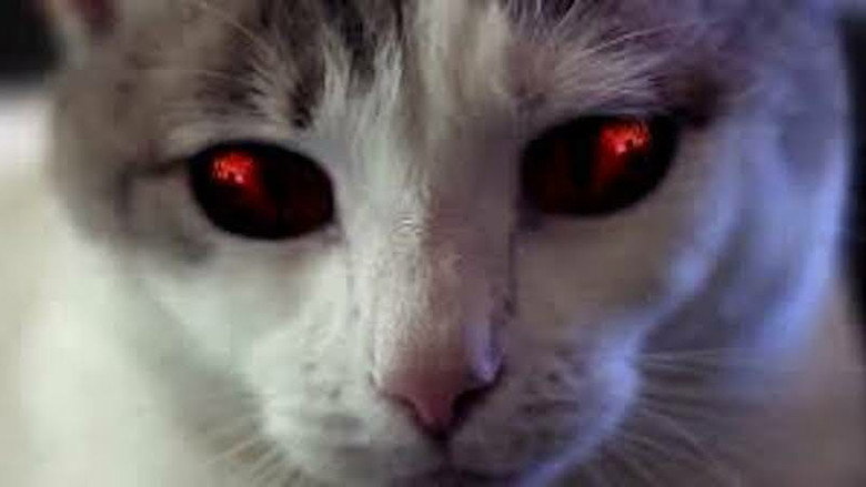 Fotograma de Hell's Kitty
