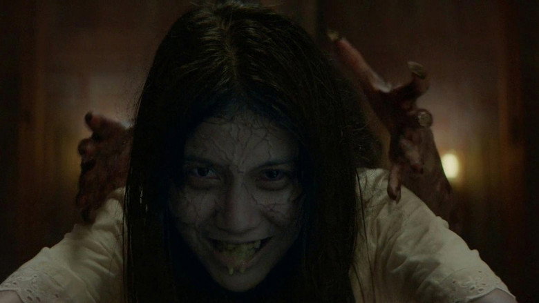 Fotograma de A Thousand Days