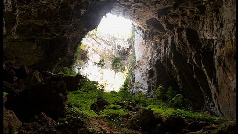 Fotograma de Expedition Borneo