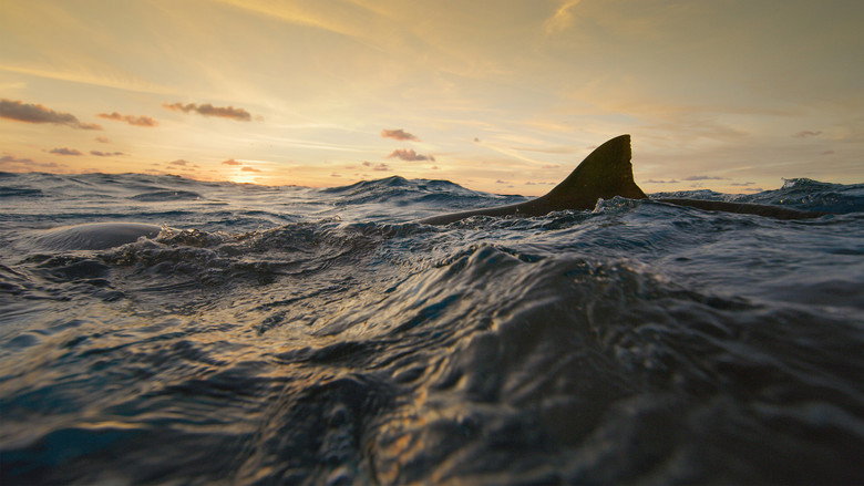 Fotograma de Man vs. Shark