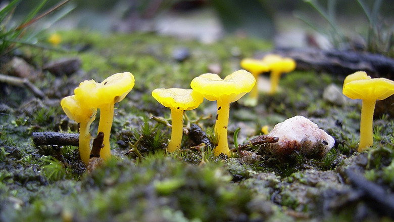Fotograma de Nature Is Speaking