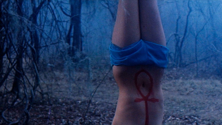Fotograma de The Witchmaker