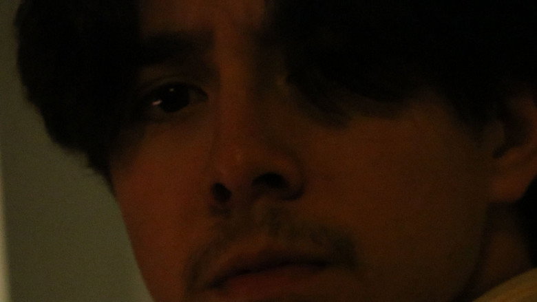 Fotograma de revolver, a mi manera.