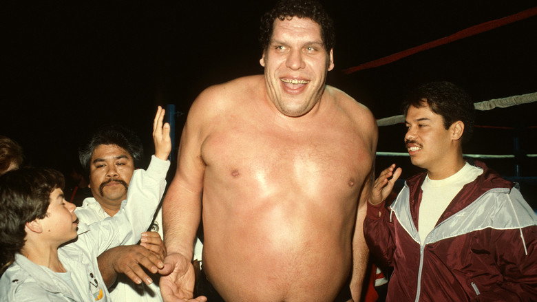 Fotograma de Andre the Giant