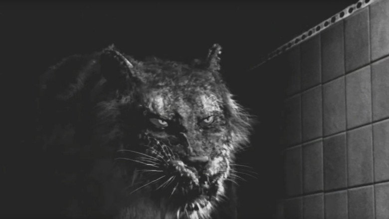 Fotograma de Tyger