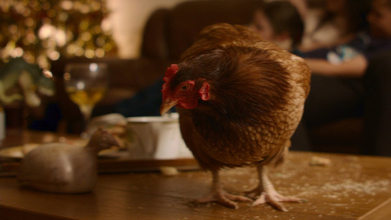 Fotograma de Feather Christmas