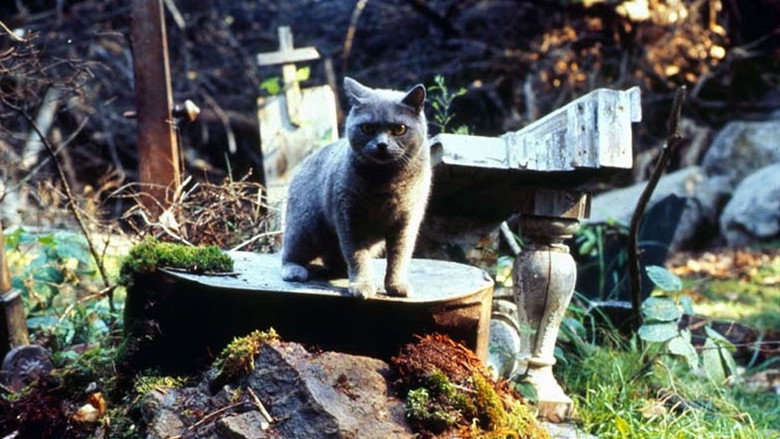 Fotograma de Cementerio viviente