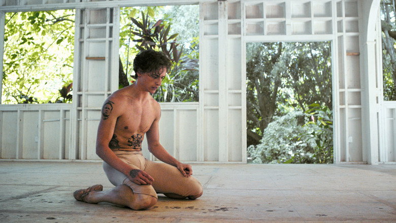 Fotograma de Dancer