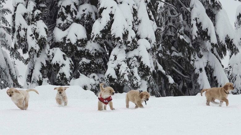 Fotograma de Snow Buddies