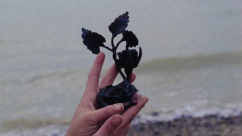 Fotograma de La rosa de hierro