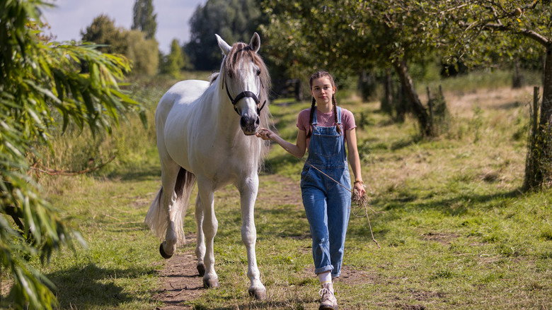 Fotograma de Silverstar