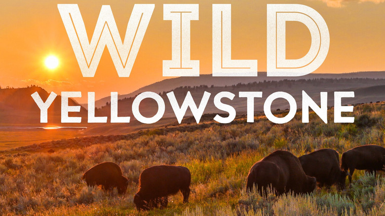 Fotograma de Wild Yellowstone