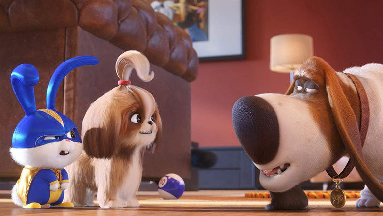 Fotograma de Mascotas 2
